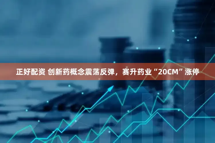 正好配资 创新药概念震荡反弹，赛升药业“20CM”涨停