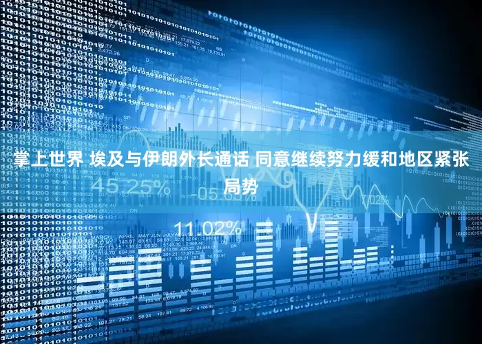 掌上世界 埃及与伊朗外长通话 同意继续努力缓和地区紧张局势