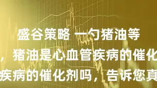 盛谷策略 一勺猪油等于五副药，猪油是心血管疾病的催化剂吗，告诉您真相