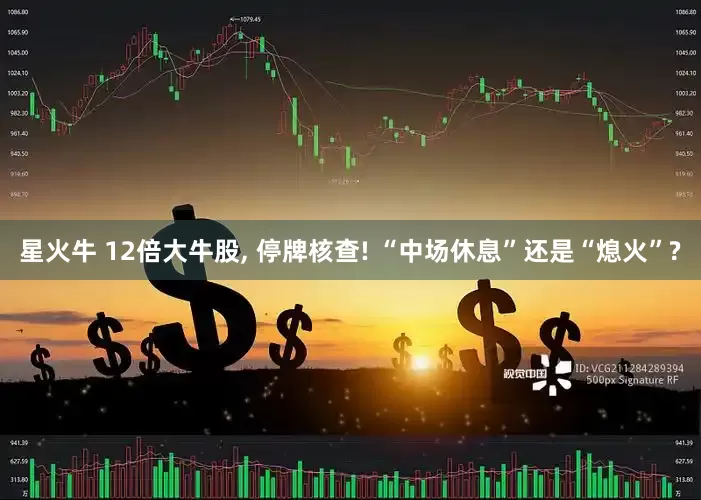 星火牛 12倍大牛股, 停牌核查! “中场休息”还是“熄火”?