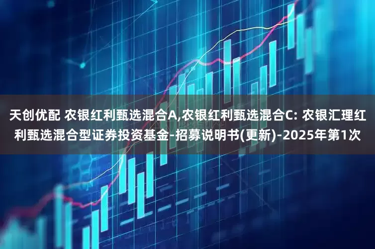 天创优配 农银红利甄选混合A,农银红利甄选混合C: 农银汇理红利甄选混合型证券投资基金-招募说明书(更新)-2025年第1次