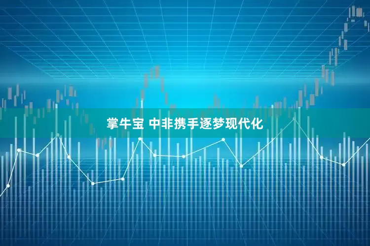 掌牛宝 中非携手逐梦现代化